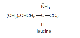 What products are formed when the amino group of leucine is removed during the early stages of amino acid catabolism?